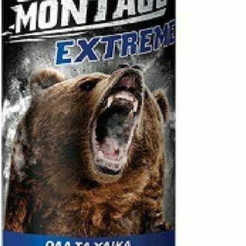 Bison Grizzly Montage Extreme – Κατασκευαστική Σφραγιστική Κόλλα 